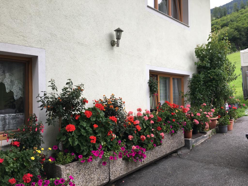 Apartment With Garden Garden Furniture Bbq Taxenbach Eksteriør bilde